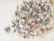 Paul Cezanne, Foliage